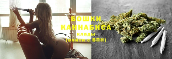 стафф Бородино