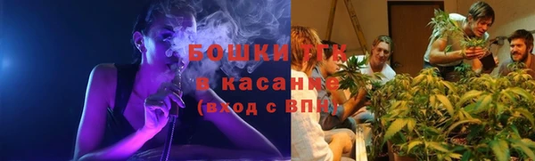 стафф Бородино