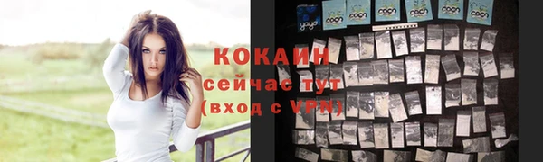 стафф Бородино