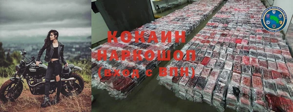 стафф Бородино
