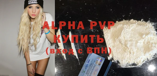 стафф Бородино