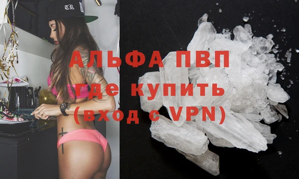 стафф Бородино