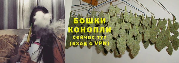 стафф Бородино