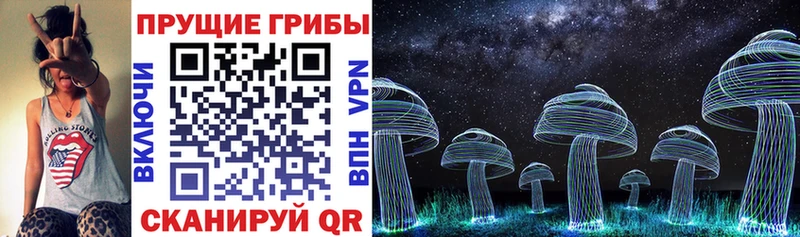 Купить Мурино Псилоцибиновые грибы Magic Shrooms